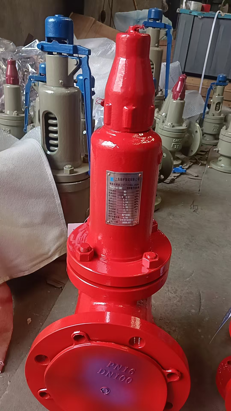 WA42F46-25C DN80波纹管衬氟安全阀(图1)