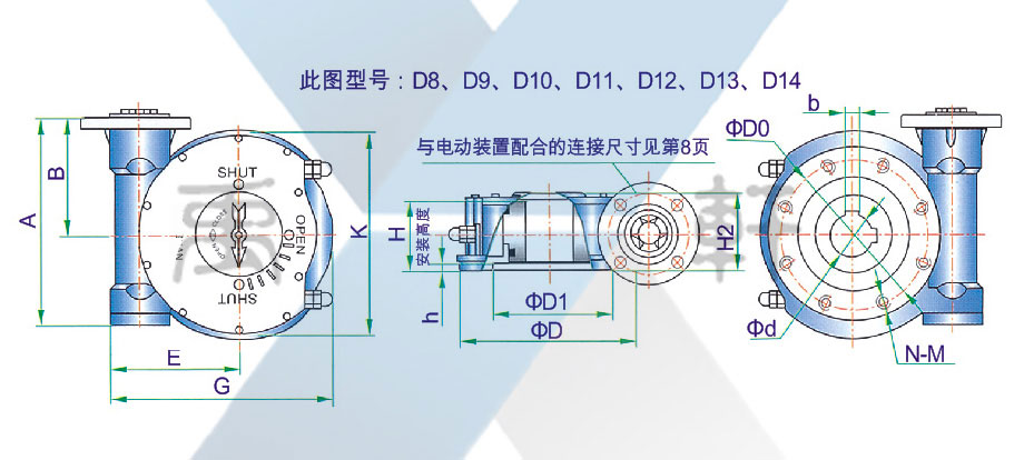 QDX3-D13大扭矩电动蜗轮箱(图1)