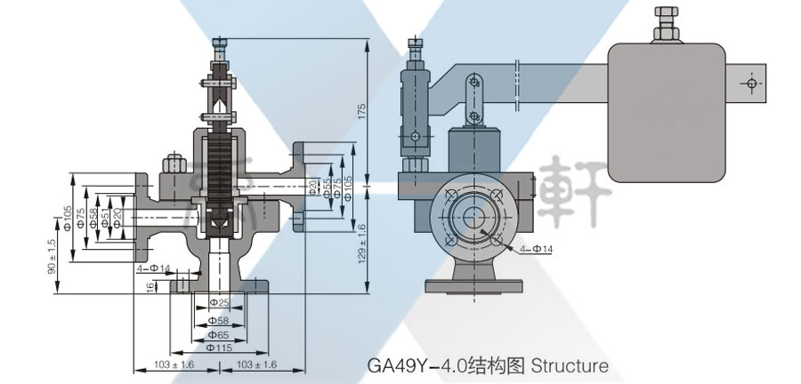 GA49H-40-DN25脉冲式安全阀(图1)