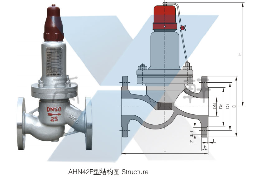 AHN42F型平行式安全回流阀(图1)
